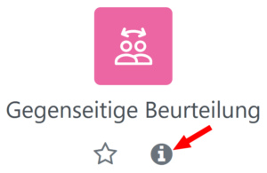 Symbol zur Aktivität Gegenseitige Beurteilung mit hervorgehobenem Infolink
